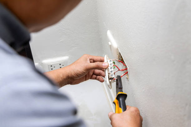 Best Affordable Electrician  in Horseshoe Bend, AR